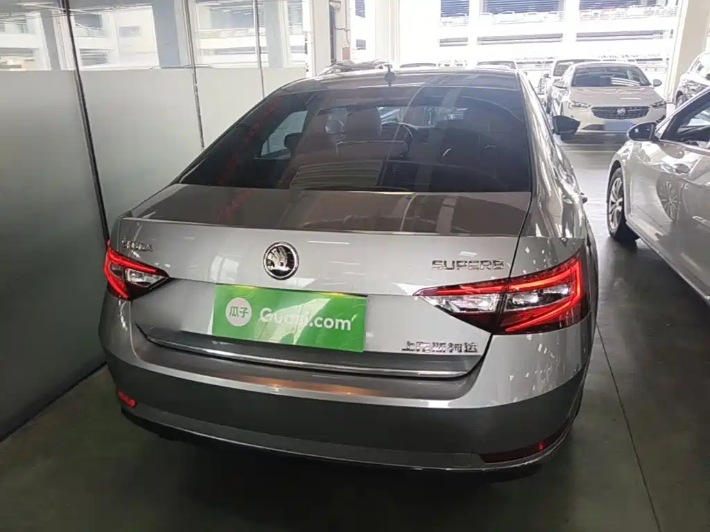 Skoda Speedy 2017