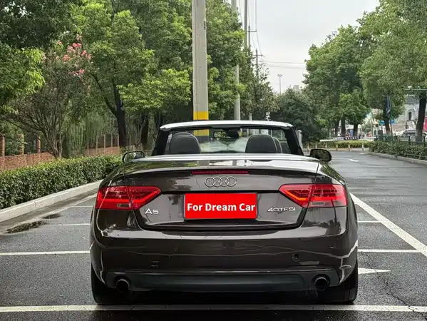 Audi A5 2013