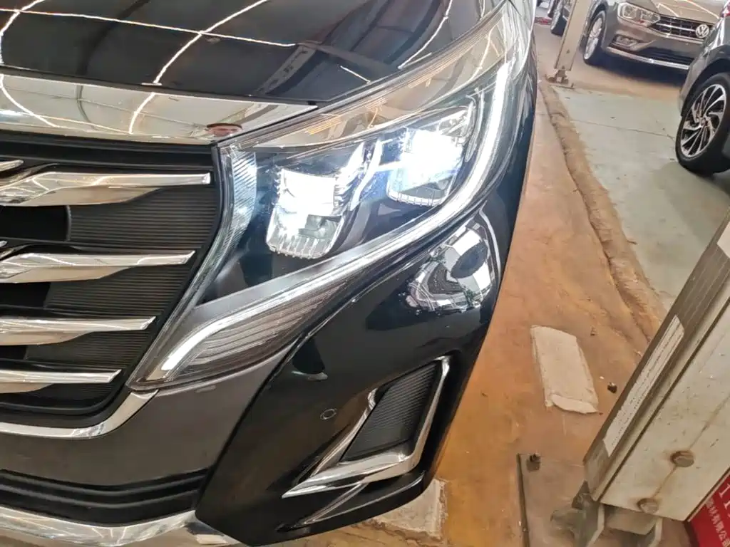 GAC Trumpchi M8 2020 — фото 24
