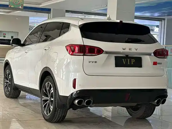 Wey VV6 2020
