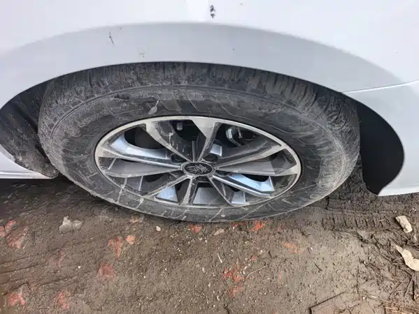 BYD Qin PLUS 2024