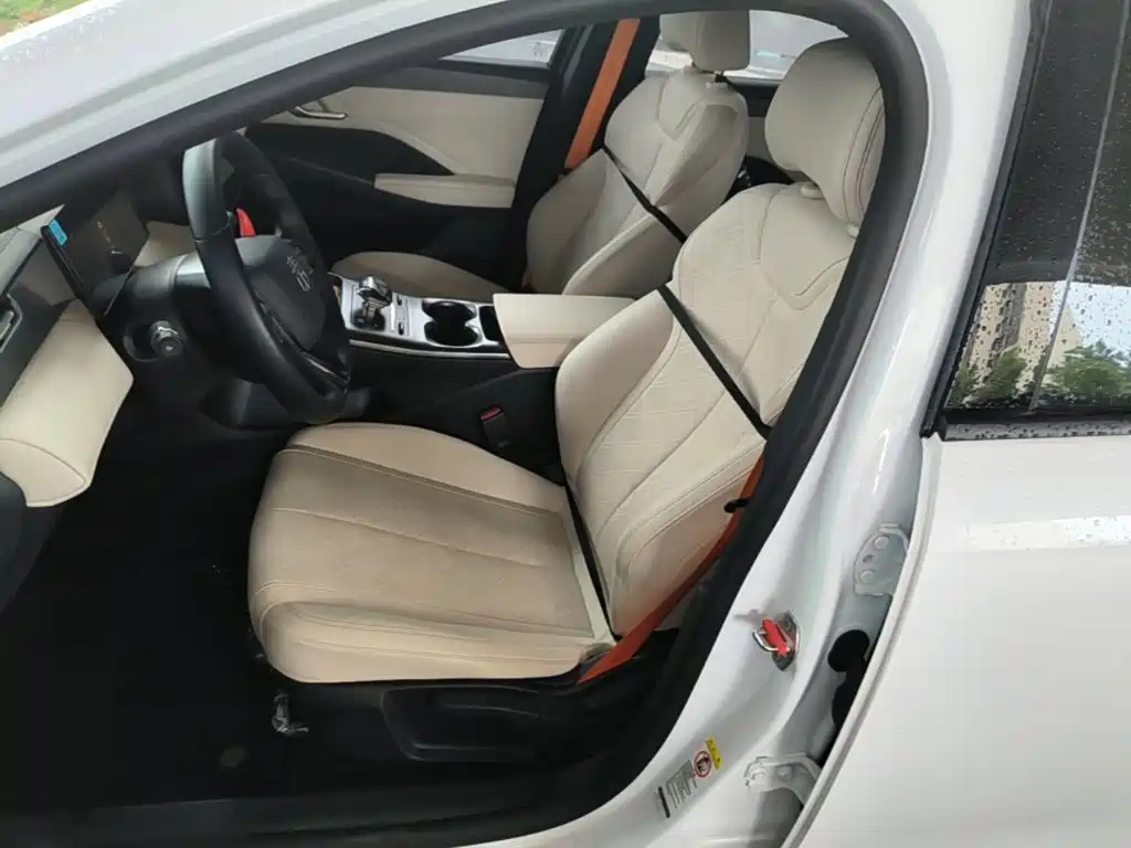 BYD Qin PLUS 2025 — фото 15