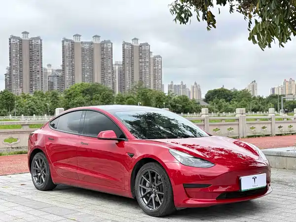 Tesla Model 3 2021
