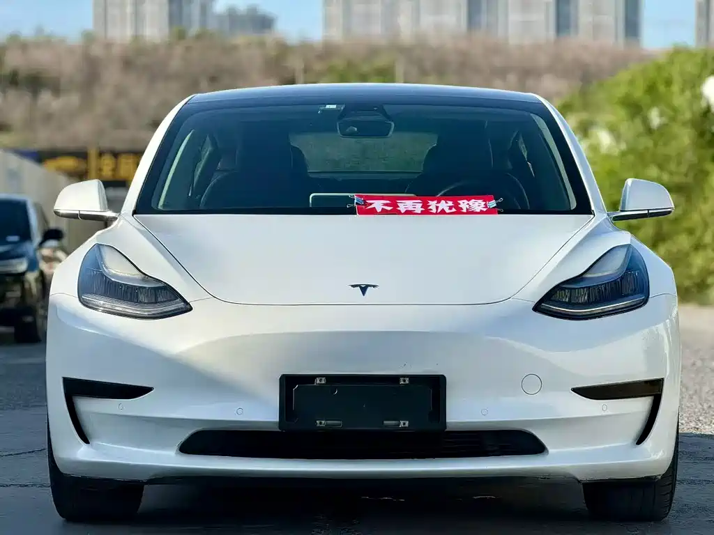Tesla Model 3 2020 — фото 2