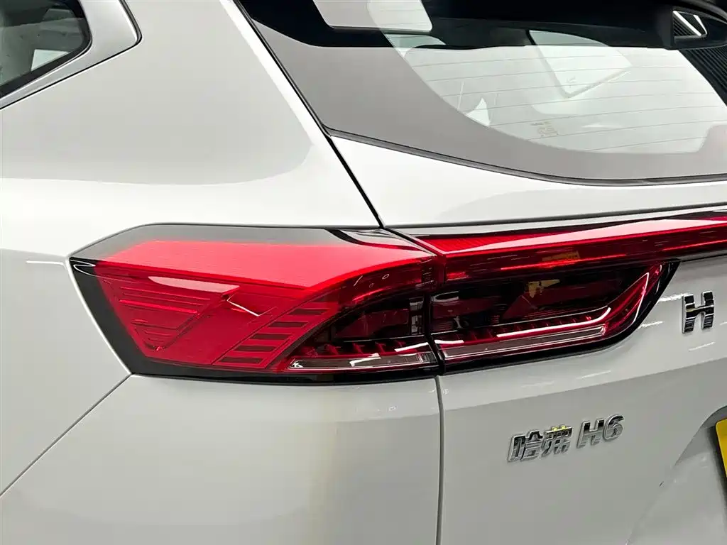 Haval H6 2022 — фото 10