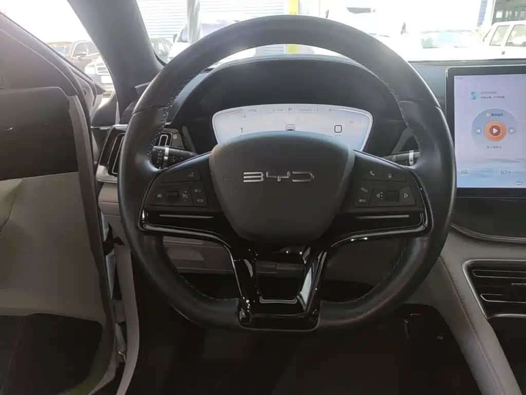 BYD Song PLUS New Energy 2024 — фото 11
