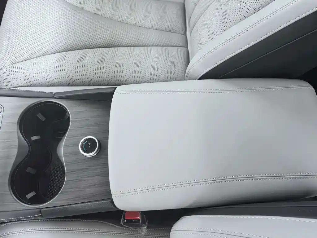 BYD Seal 06 DM-i Travel Edition 2025 — фото 14