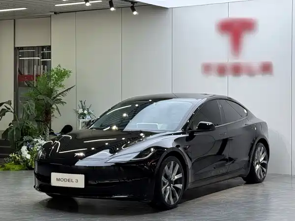 Tesla Model 3 2024