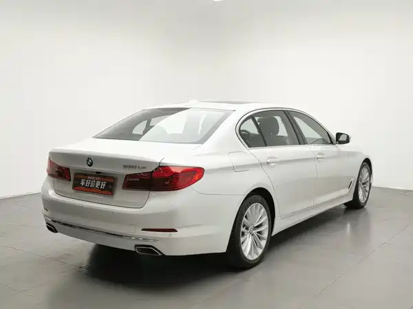 BMW 5 Series New Energy 2020