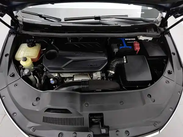 BYD Song MAX 2020