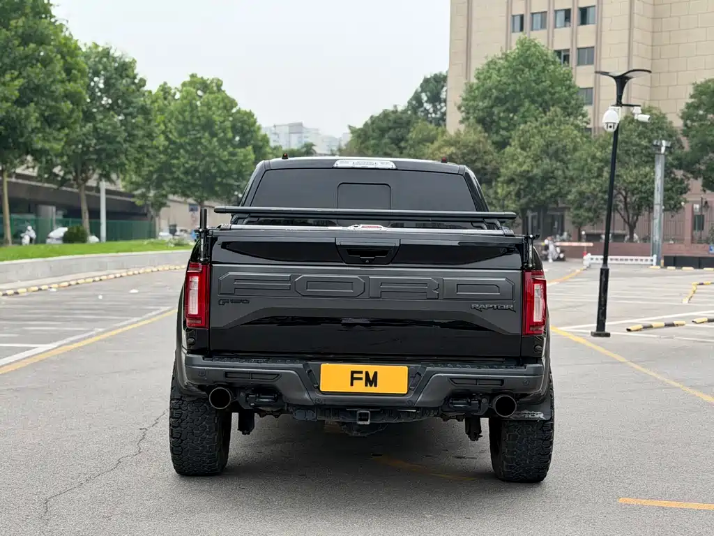 Ford F-150 Raptor 2018 — фото 14