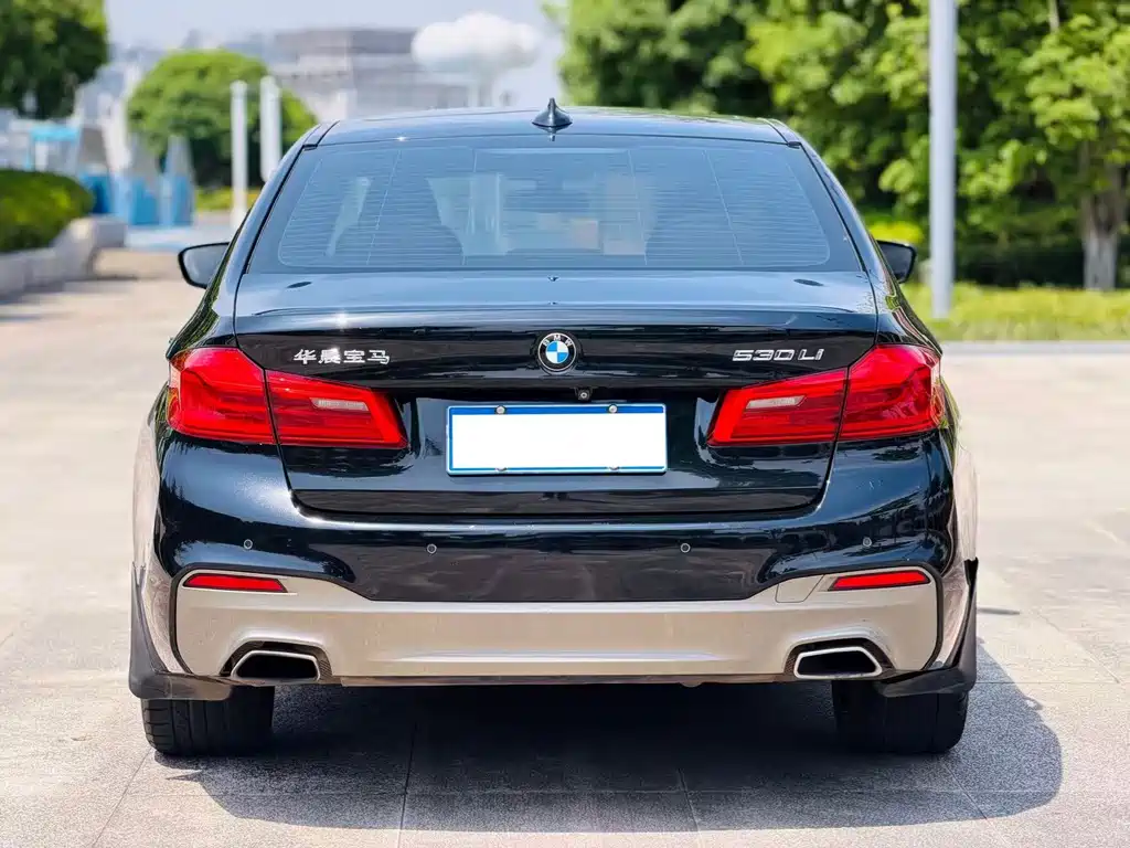 BMW 5 Series 2017 — фото 8