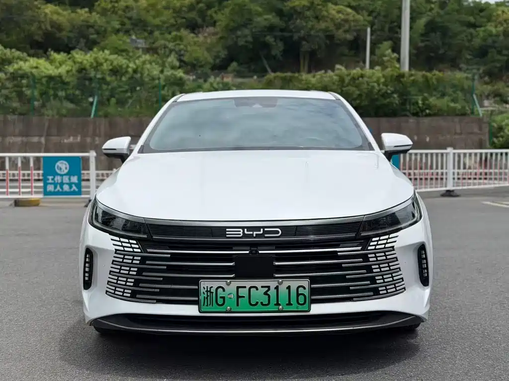 BYD Destroyer 05 2022 — фото 2