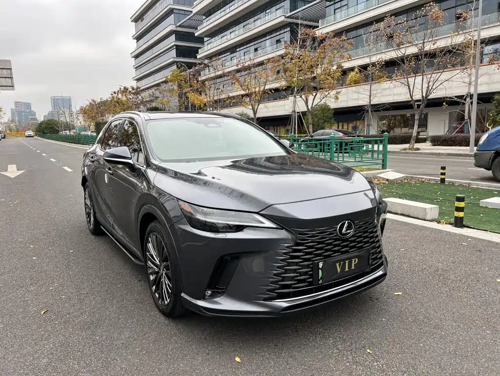 Lexus RX New Energy 2023 — фото 2