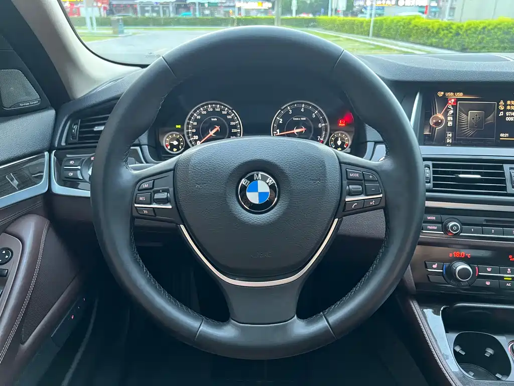 BMW 5 Series 2017 — фото 16