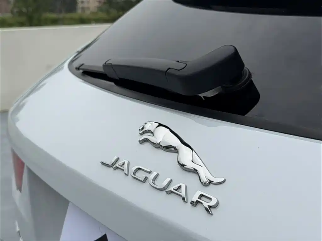 Jaguar F-PACE 2021 — фото 21