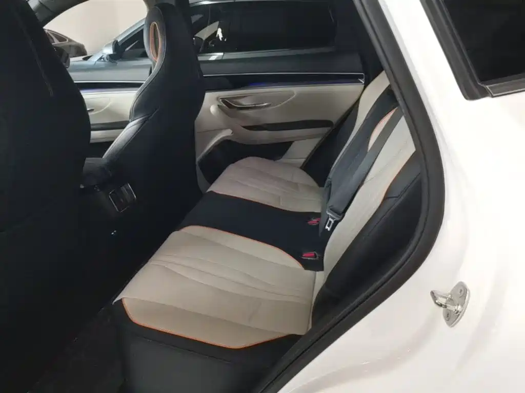 BYD PLUS New Energy 2023 — фото 17