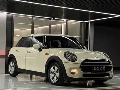 MINI MINI 2017