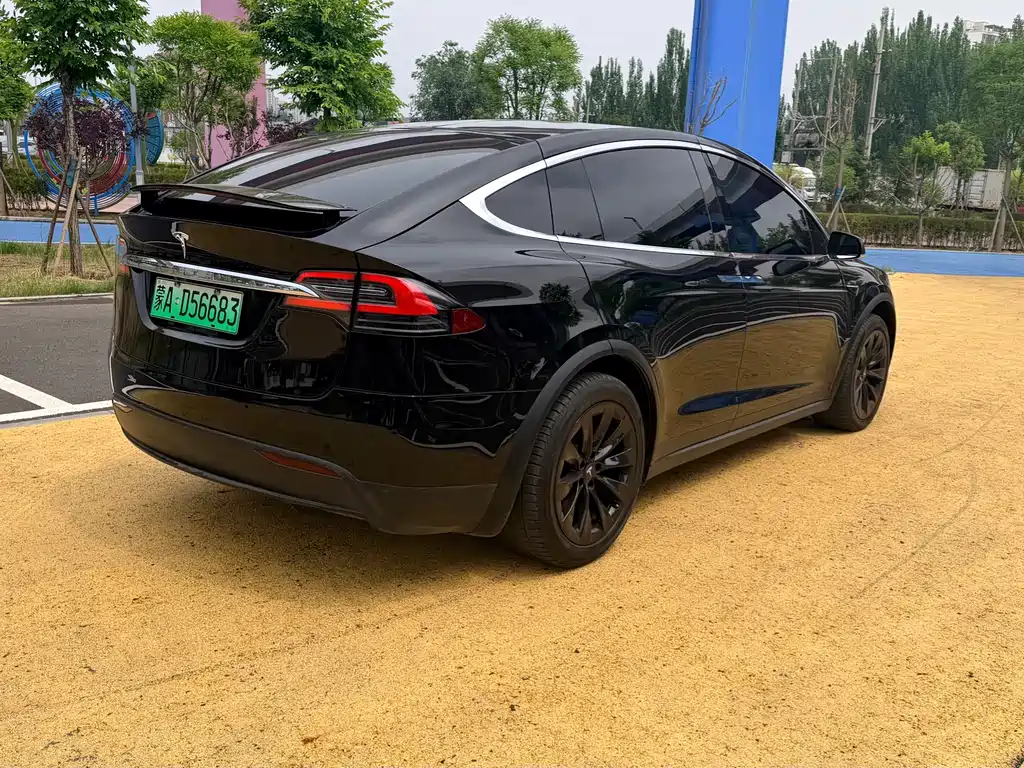 Tesla Model X 2019 — фото 4