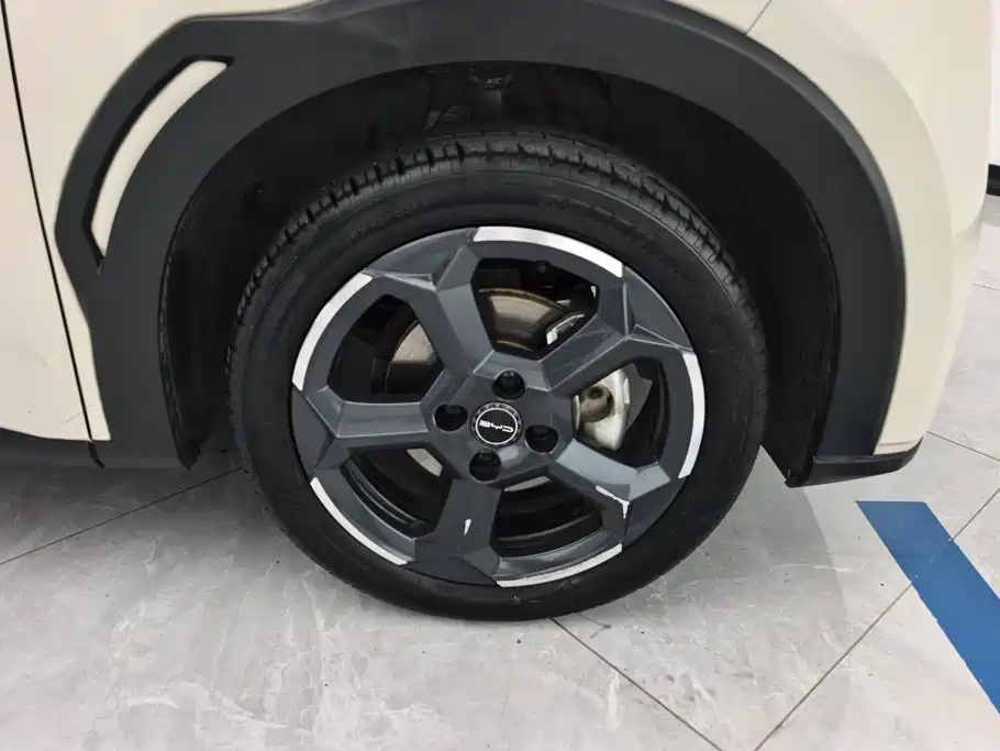 BYD Seagull 2024