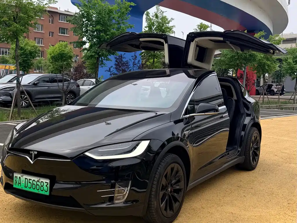 Tesla Model X 2019 — фото 8