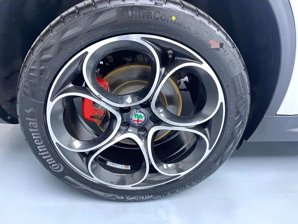 Alfa Romeo Stelvio 2021 — фото 4