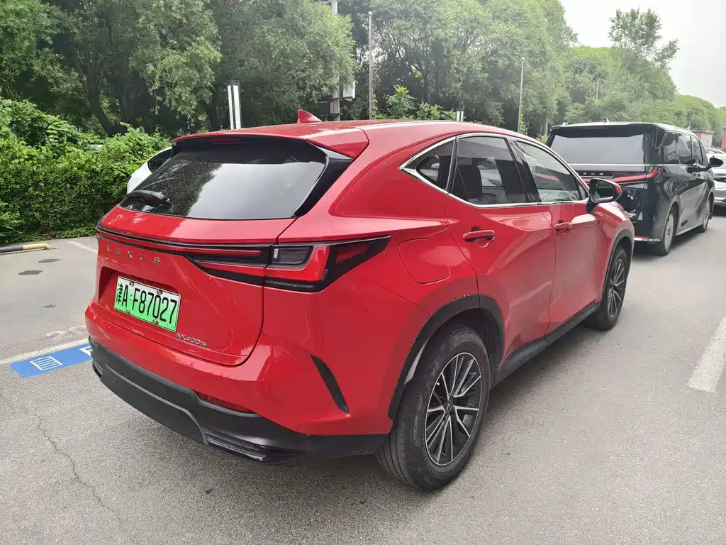 Lexus NX New Energy 2022 — фото 4