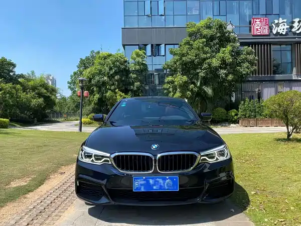 BMW 5 Series 2020