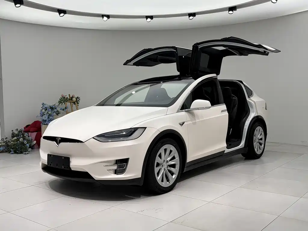 Tesla Model X 2018 — фото 1