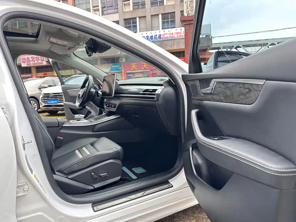 BYD Qin Pro NEV 2018 — фото 8