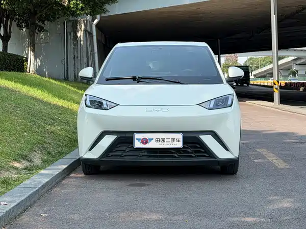 BYD Seagull 2024