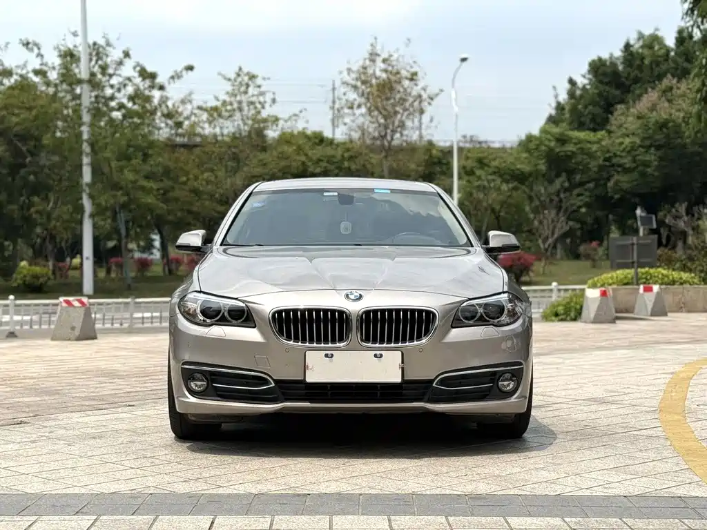 BMW 5 Series 2015 — фото 2