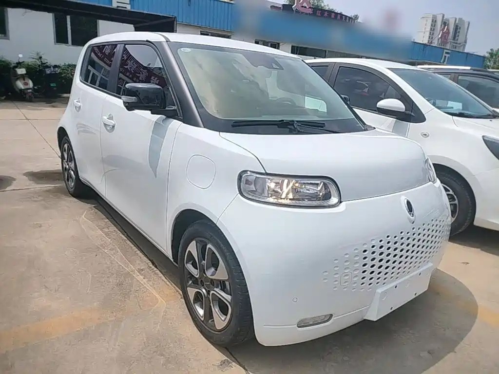 Ora White Cat 2021