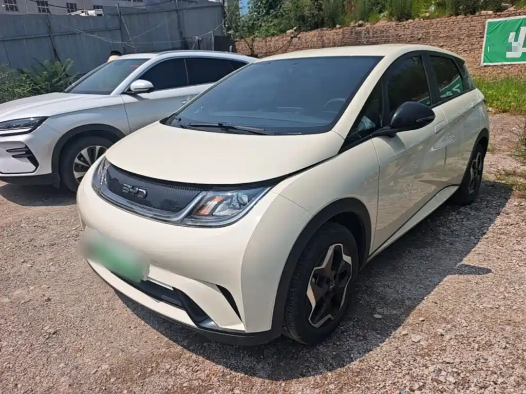 BYD Dolphin 2024