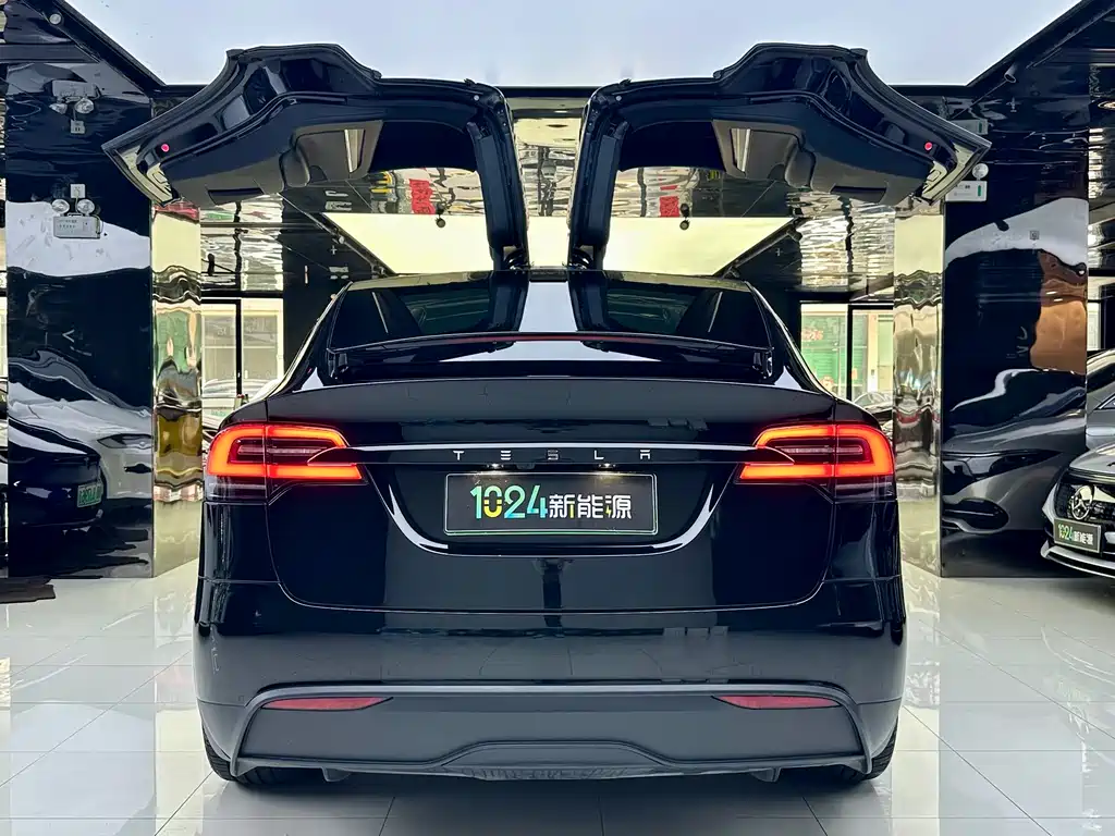 Tesla Model X 2023 — фото 14