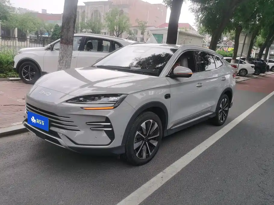 BYD Song PLUS New Energy 2025 — фото 1
