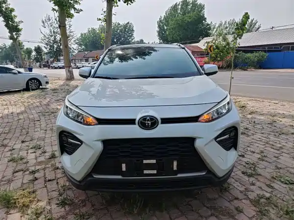 Toyota Wildlander 2020