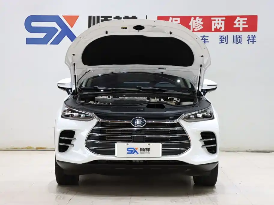 BYD Tang New Energy 2020 — фото 19