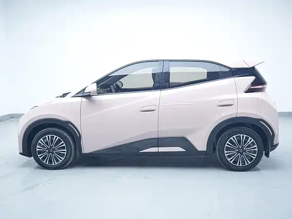 BYD Seagull 2024