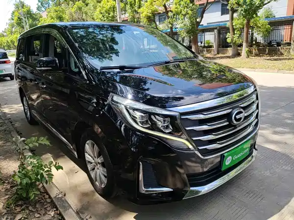 GAC Trumpchi M8 2020