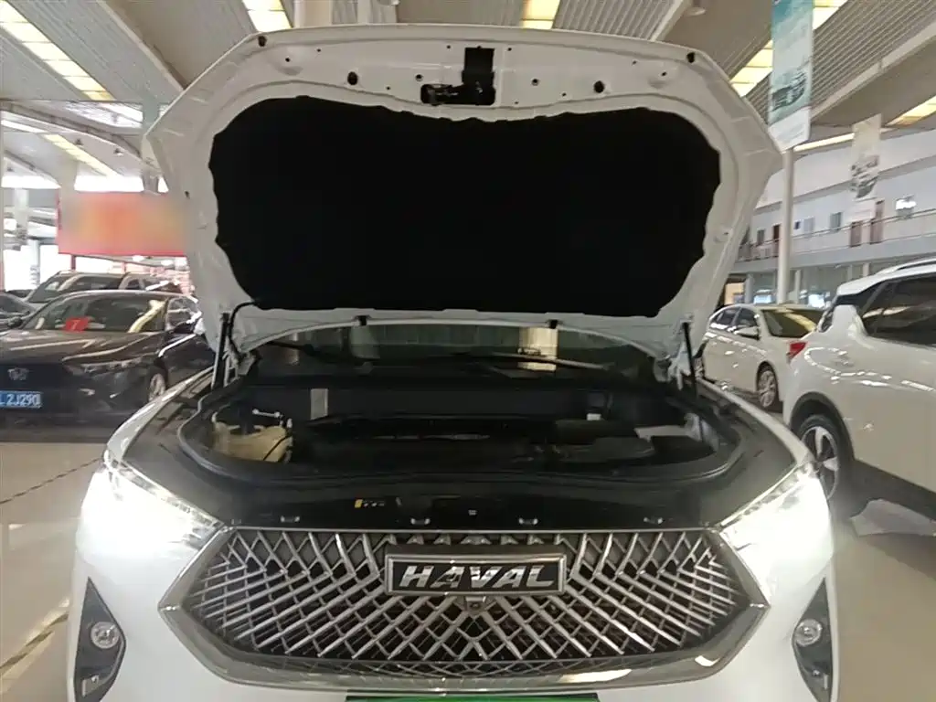 Haval F7x 2021 — фото 20