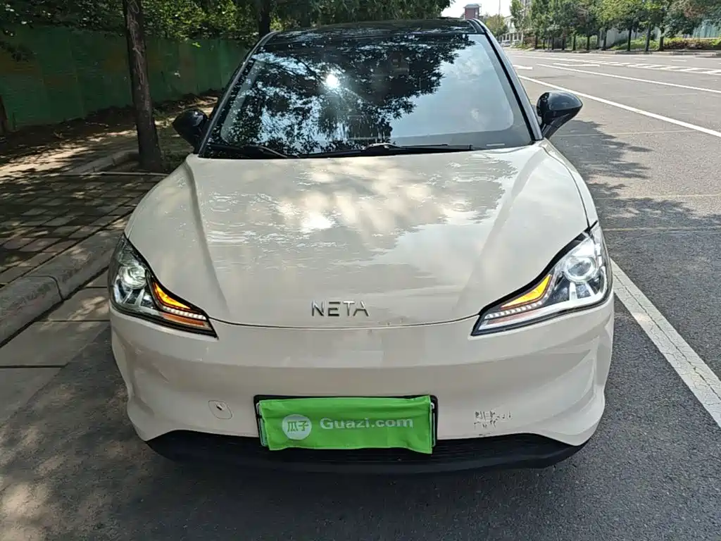 Neta V 2021