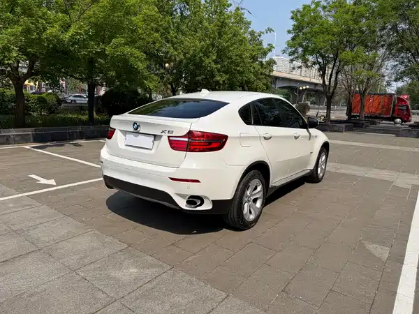 BMW X6 2014