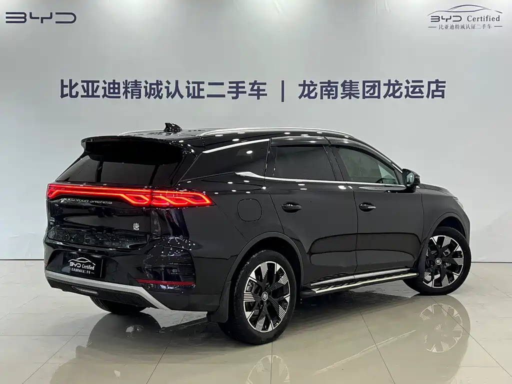 BYD Tang New Energy 2024 — фото 14