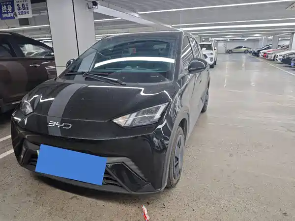 BYD Seagull 2025