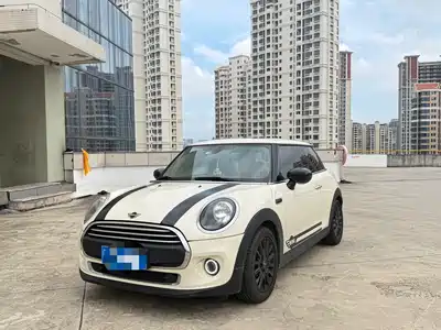 MINI MINI 2021