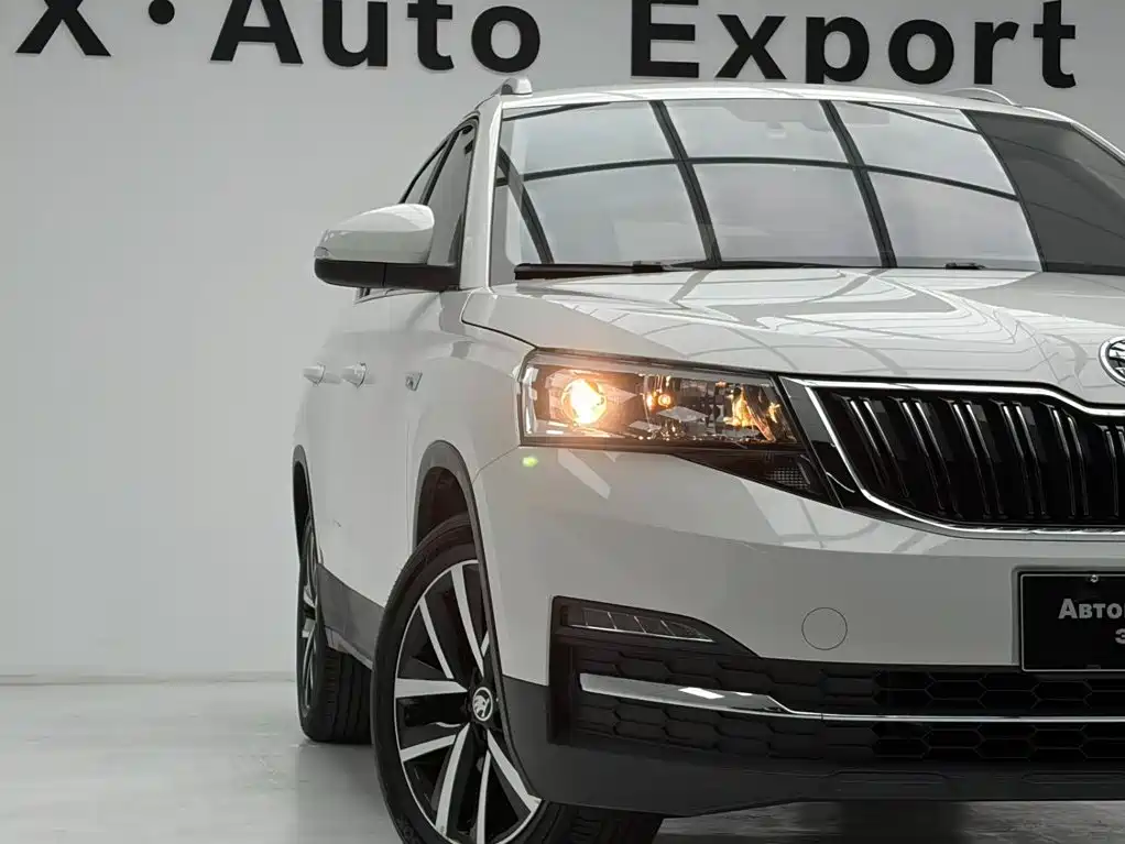 Skoda Kamiq 2022 — фото 10
