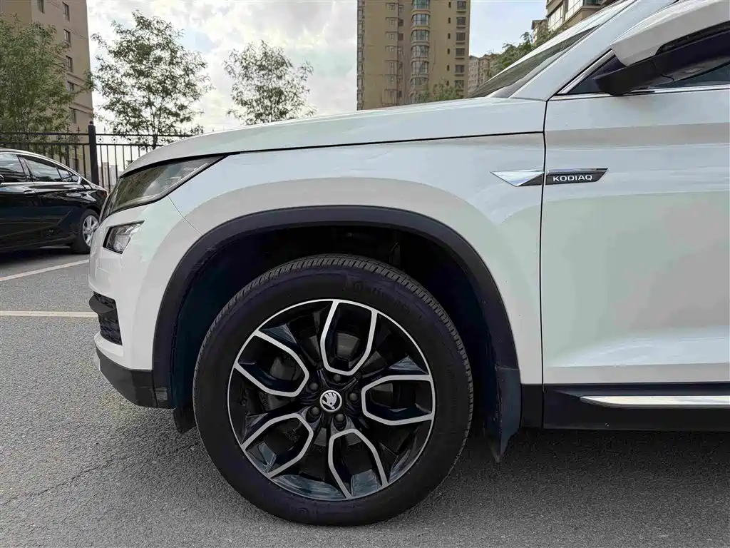 Skoda Kodiaq 2019 — фото 15