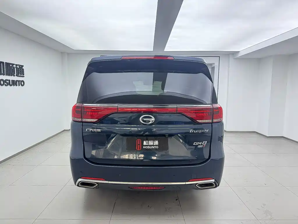 GAC Trumpchi M8 2018 — фото 8