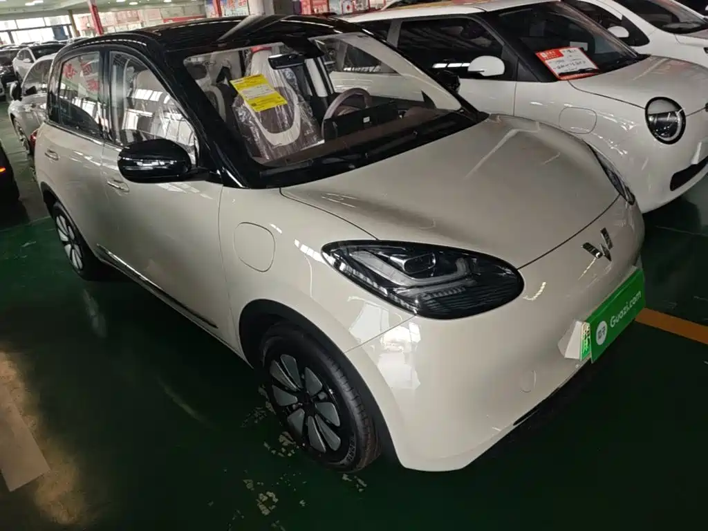 Wuling Bingo 2026